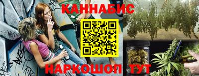 мдпв Партизанск