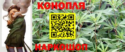 мдпв Партизанск