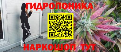 мдпв Партизанск