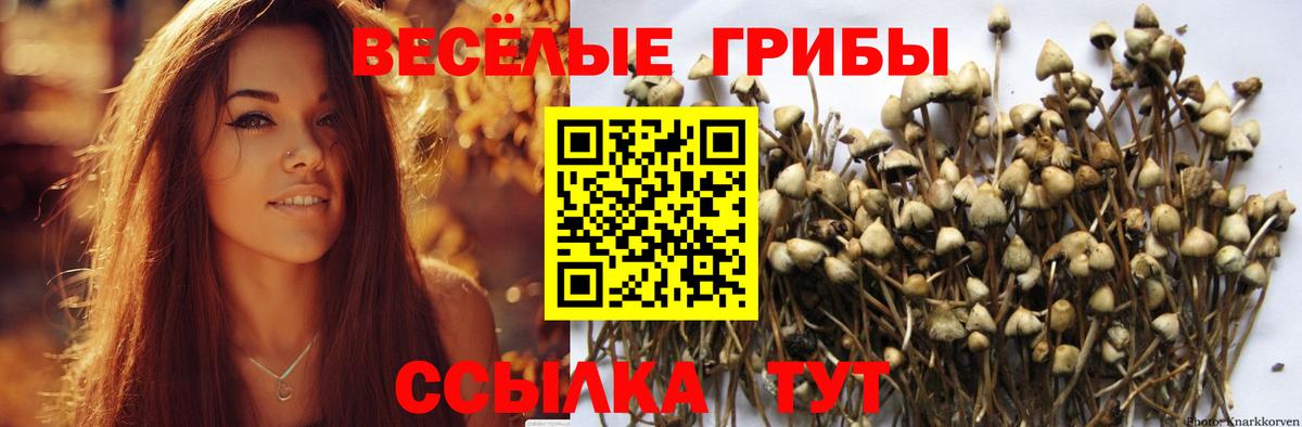 Северобайкальск  Псилоцибиновые грибы Magic Shrooms  Галлюциногенные грибы Psilocybe  сколько стоит  Вход с VPN 